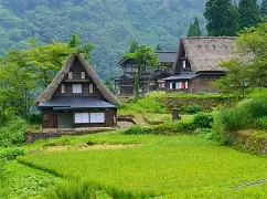 包含里程碑夜！阿贾克斯更衣室发声，欧篮联窗口期刷纪录，值得警惕，球队文化被再次提及的词条